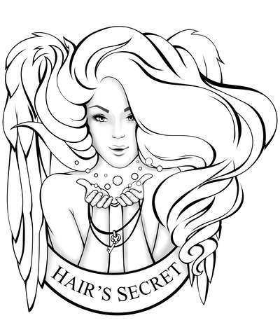 Логотип Hair’s Secret
